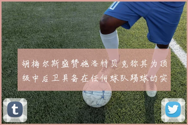 胡梅尔斯盛赞施洛特贝克称其为顶级中后卫具备在任何球队踢球的实力